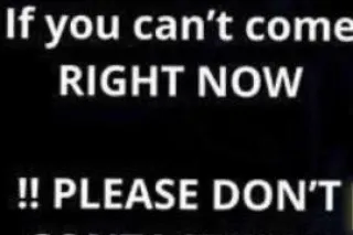 ✅ AVAILABLE✅ - Image 10